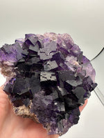 Dark Purple Fluorite Specimen – Melchor Muzquiz, Coahuila, Mexico