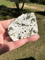Ocean Jasper Free-form #19