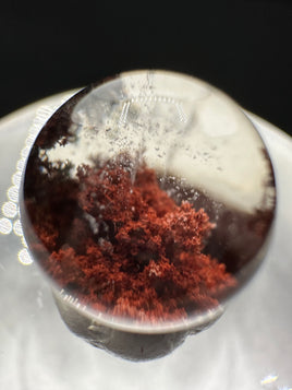High Quality Garden Quartz Sphere #14