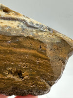 8th Vein Ocean Jasper Slab #15