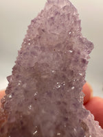 Amethyst Spirit Cactus Cluster, South Africa #3