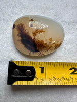 Designer Dendritic Agate Cabochon #6