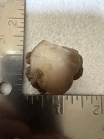 Panda Agate aka Truffle Chalcedony #8