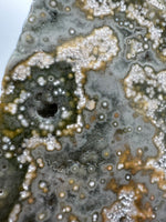 8th Vein Ocean Jasper Slab #6