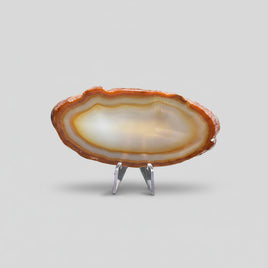 Agate Slice #20