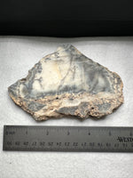 Dendritic Opal Slab