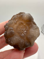 Panda Agate aka Truffle Chalcedony #1