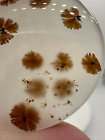 Scenic Dendritic Agate Cabochon #8