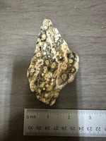 8th Vein Ocean Jasper Slab #30