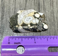 6th Vein Ocean Jasper Polished Freeform #44