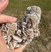Selenite "Desert Rose," Samalayuka Desert, Chihuahua, Mexico #3