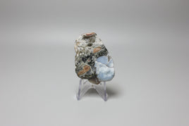 6th Vein Ocean Jasper Polished Freeform #14