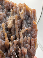 Withlacoochee River Agatized Coral #14