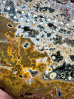8th Vein Ocean Jasper Slab #40