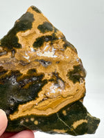 8th Vein Ocean Jasper Slab #135