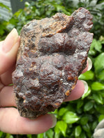 Andradite Garnet Specimen, Zacatecas, Mexico #9