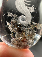 Beautiful Seahorse Garden Quartz Inner Scene Carving #6