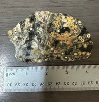 8th Vein Ocean Jasper Slab #92