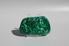 Polished Malachite Freeform Zaire, Africa #5