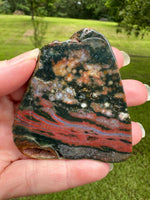 8th Vein Ocean Jasper Slab #72