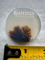 Designer Dendritic Agate Cabochon #7