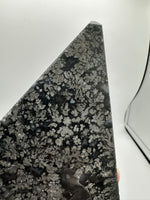 Free Form Pyrite Flowers Symbiosis Mixed Agate Slab #2