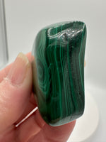 Polished Malachite Freeform #12