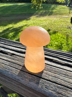 Peach Selenite Mushroom #6