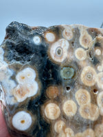 8th Vein Ocean Jasper Slab #58