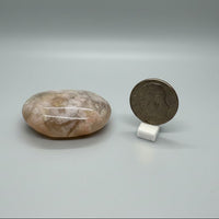 Flower Agate Palm Stone #1