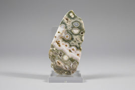 8th Vein Ocean Jasper Polished Free Form #11