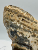 8th Vein Ocean Jasper Slab #15