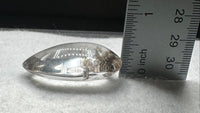 Beautiful Seahorse Garden Quartz Inner Scene Carving #6