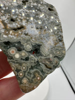 8th Vein Ocean Jasper Slab #16