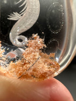 Beautiful Seahorse Garden Quartz Inner Scene Carving #10