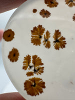 Scenic Dendritic Agate Cabochon #11