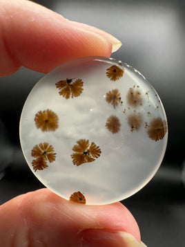 Scenic Dendritic Agate Cabochon #8
