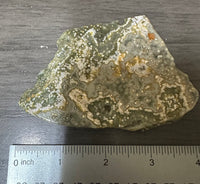 8th Vein Ocean Jasper Slab #6