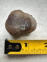 Panda Agate aka Truffle Chalcedony #7