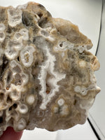 8th Vein Ocean Jasper Slab #26