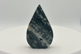 7th Vein Ocean Jasper Arrow Shape Tower #2