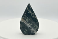 7th Vein Ocean Jasper Arrow Shape Tower #2