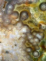 8th Vein Ocean Jasper Slab #88
