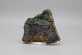 8th Vein Ocean Jasper Slab #17