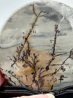 Natural Picture Jasper Slab with Stand #2