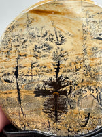 Natural Picture Jasper Slab with Stand #5