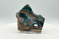8th Vein Ocean Jasper Slab #4