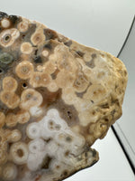 8th Vein Ocean Jasper Slab #58
