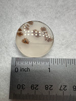 Scenic Dendritic Agate Cabochon #2