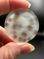 Scenic Dendritic Agate Cabochon #11